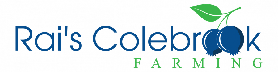 Rai's Colebrook Farming